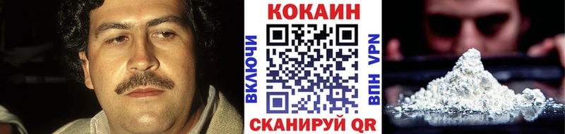 Cocaine FishScale  Светогорск 