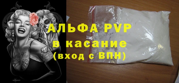 сатива Аркадак