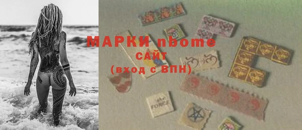 сатива Аркадак