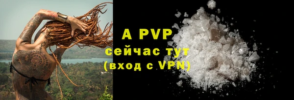 сатива Аркадак