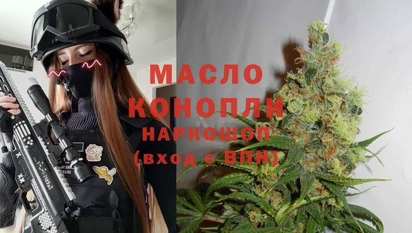 сатива Аркадак
