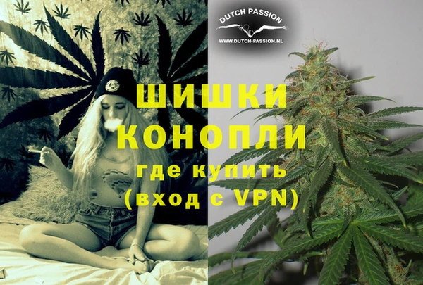 сатива Аркадак