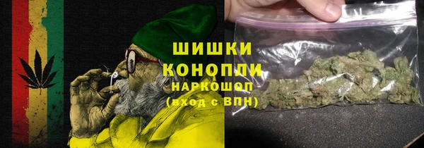 сатива Аркадак