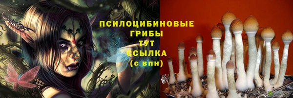 MDMA Армянск
