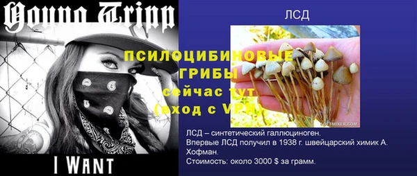 сатива Аркадак