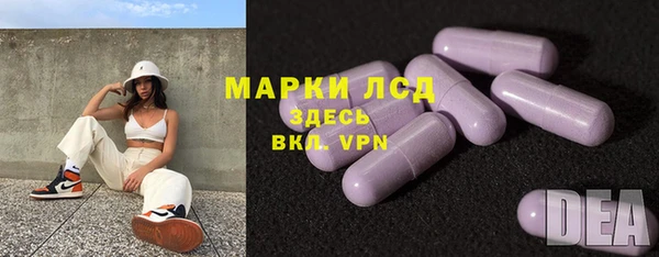 крисы Болотное