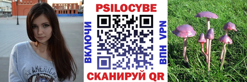 Галлюциногенные грибы Psilocybe  дарнет шоп  Светогорск 
